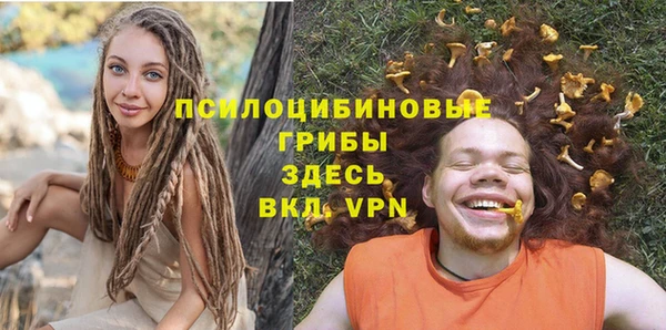 сатива Верхнеуральск