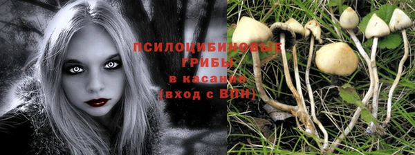 сатива Верхнеуральск