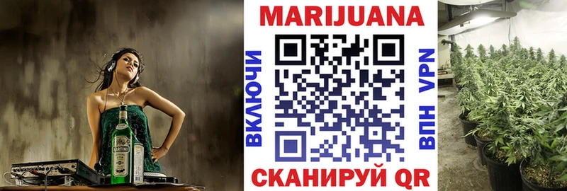 где можно купить   Камешково  Канабис White Widow 